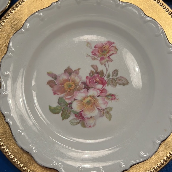 Schumann Arzburg Germany Briar Rose with Gold Trim 4 Place Settings - Picture 2 of 10